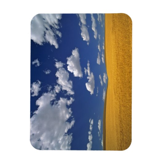 USA, Washington Staat, Colfax. Reißgerste trifft s Magnet (Vertikal)