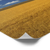 USA, Washington Staat, Colfax. Reißgerste trifft s Poster (Ecke)