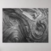 USA, Washington Staat. Douglass Fir Poster (Vorne)