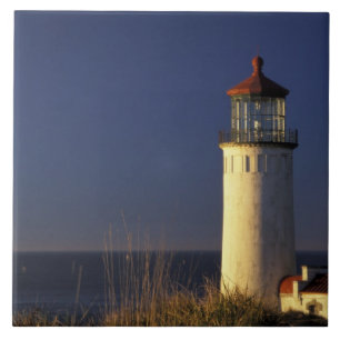 USA, Washington Staat, Fort Canby Staat Park. Fliese