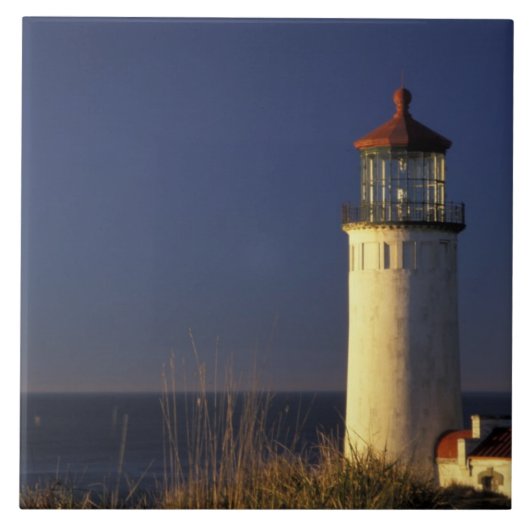 USA, Washington Staat, Fort Canby Staat Park. Fliese (Vorderseite)