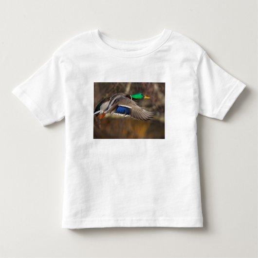 USA, Washington Staat, Mallard, Mann, Fliege. Kleinkind T-shirt (Vorderseite)