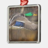 USA, Washington Staat, Mallard, Mann, Fliege. Ornament Aus Metall (Links)