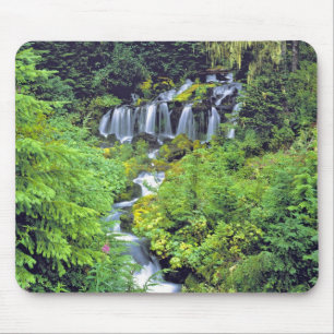USA, Washington Staat, Mt Adams Wilderness. Zwilli Mousepad