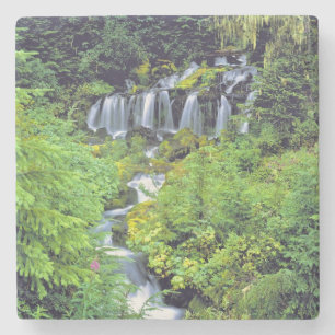 USA, Washington Staat, Mt Adams Wilderness. Zwilli Steinuntersetzer