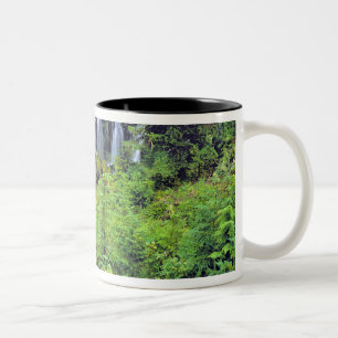 USA, Washington Staat, Mt Adams Wilderness. Zwilli Zweifarbige Tasse