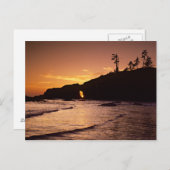 USA, Washington Staat, Olympic National Park. 2 Postkarte (Vorne/Hinten)