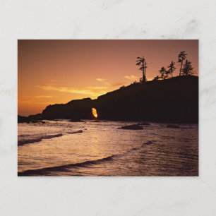 USA, Washington Staat, Olympic National Park. 2 Postkarte