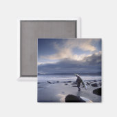 USA, Washington Staat, Olympic National Park. Magnet (Vorderseite/Rückseite)