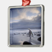 USA, Washington Staat, Olympic National Park. Silbernes Ornament (Links)