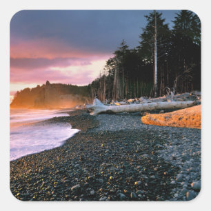 USA, Washington Staat, Olympic NP. Wellen raufen Quadratischer Aufkleber