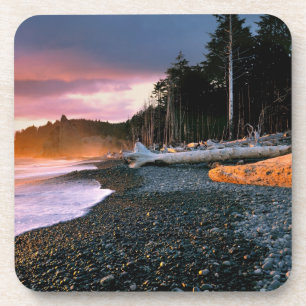 USA, Washington Staat, Olympic NP. Wellen raufen Untersetzer