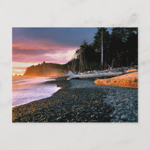 USA, Washington Staat, Olympic NP. Wellen runter Postkarte