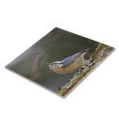 USA, Washington Staat, Rothatch, Fliese (Seite)