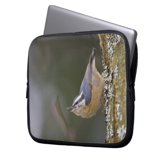 USA, Washington Staat, Rothatch, Laptopschutzhülle (Vorderseite Links)