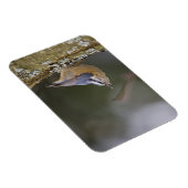 USA, Washington Staat, Rothatch, Magnet (Rechte Seite)