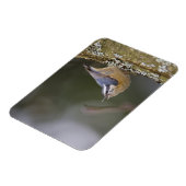 USA, Washington Staat, Rothatch, Magnet (Linke Seite)