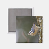 USA, Washington Staat, Rothatch, Magnet (Vorderseite/Rückseite)