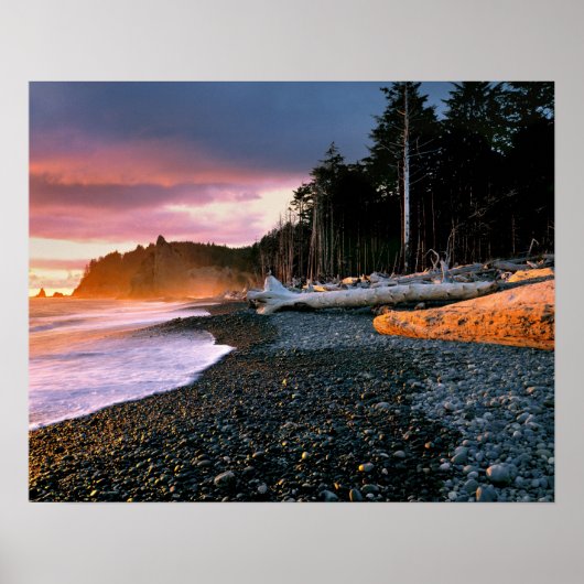 USA, Washington State, Olympic NP. Waves lap the Poster (Vorne)