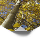 USA, Washington, Stevens Pass Herbstfarbene Aspen Poster (Ecke)
