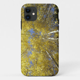 USA, Washington, Stevens Pass Herbstlich gefärbte  Case-Mate iPhone Hülle