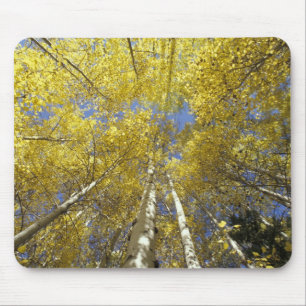 USA, Washington, Stevens Pass Herbstlich gefärbte  Mousepad