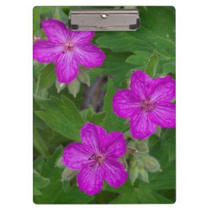 USA, Washington, Turnbull National Wildlife Klemmbrett