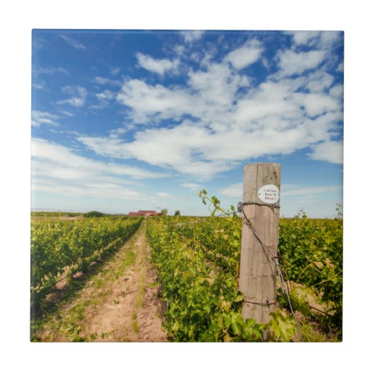 USA, Washington, Walla. Cabernet Sauvignon Fliese (Vorderseite)