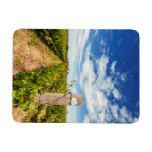 USA, Washington, Walla. Cabernet Sauvignon Magnet (Horizontal)