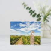 USA, Washington, Walla. Cabernet Sauvignon Postkarte (Stehend Vorderseite)