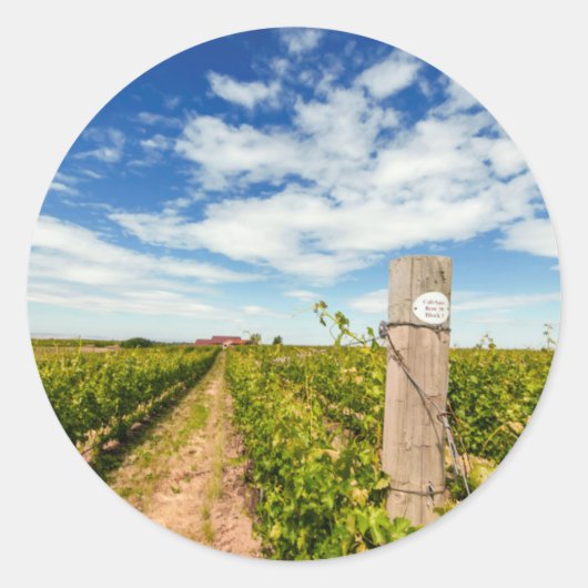 USA, Washington, Walla. Cabernet Sauvignon Runder Aufkleber (Vorderseite)