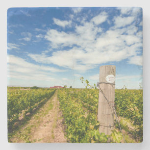 USA, Washington, Walla Walla. Cabernet Sauvignon Steinuntersetzer