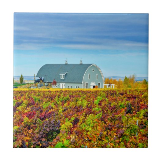 USA, Washington, Walla Walla. Garnison-Nebenfluss Fliese (Vorderseite)