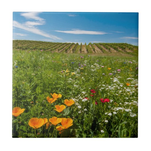 USA, Washington, Walla.Wildblumen Fliese (Vorderseite)