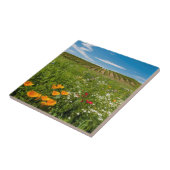 USA, Washington, Walla.Wildblumen Fliese (Seite)