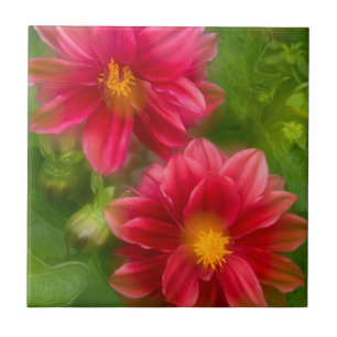 USA, Washington, Whidbey Island. Dahlien-Montage Fliese