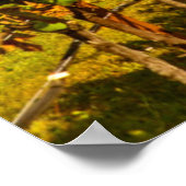 USA, Washington, Whidbey Island. Weinkeller Poster (Ecke)