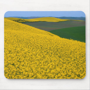 USA, Washington, Whitman County, Palouse, Raps Mousepad