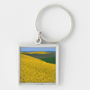 USA, Washington, Whitman County, Palouse, Raps Schlüsselanhänger