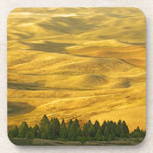 USA, Washington, Whitman County, Palouse, Weizen Getränkeuntersetzer