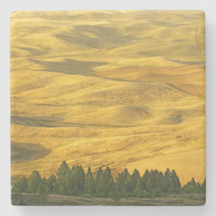 USA, Washington, Whitman County, Palouse, Weizen Steinuntersetzer