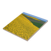 USA, Washington, Whitman Landkreis, Palouse, Canol Fliese (Seite)