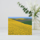 USA, Washington, Whitman Landkreis, Palouse, Canol Postkarte (Stehend Vorderseite)