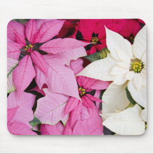 USA, Washington, Woodinville, Molbak's Nursery, 2 Mousepad