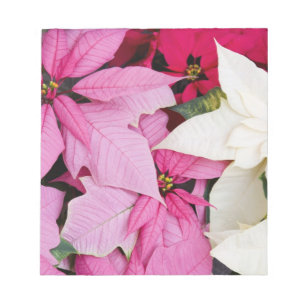 USA, Washington, Woodinville, Molbak's Nursery, 2 Notizblock