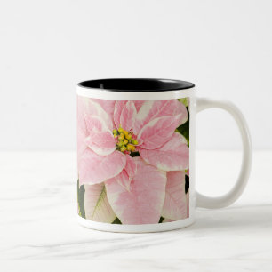 USA, Washington, Woodinville, Molbak's Nursery, 4 Zweifarbige Tasse