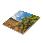 USA, Washington, Yakima Valley. Merlot-Trauben Fliese (Seite)