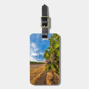 USA, Washington, Yakima Valley. Merlot-Trauben Gepäckanhänger