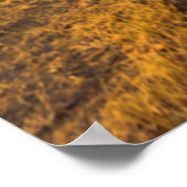 USA, Washington, Yakima Valley. Merlot Trauben Poster (Ecke)