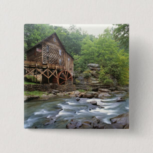 USA, West Virginia, Babcock SP. Rustic Glade Button